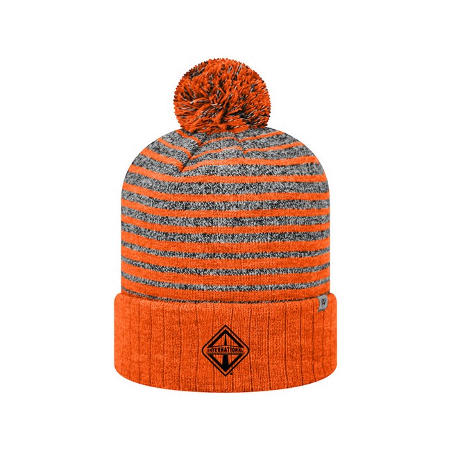 Main image of Striped Knit Beanie