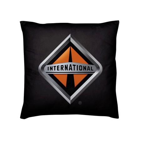 Throw Pillow - 16" x 16"